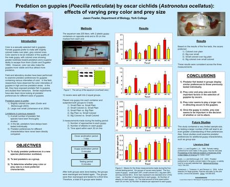 Predation on guppies (Poecilia reticulata) by oscar cichlids (Astronotus ocellatus): effects of varying prey color and prey size Jason Fowler, Department.