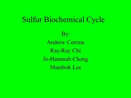 Sulfur Biochemical Cycle By: Andrew Cerrina Ray-Ray Chi Jo-Hannnah Chong Mambok Lee.