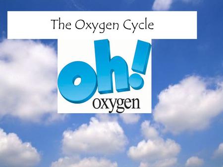 The Oxygen Cycle. Definition of Oxygen Oxygen – a colorless, odorless, tasteless gas Denser than air Poor conductor of heat and electricity.