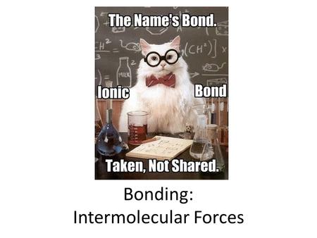 Bonding: Intermolecular Forces. Covalent Bonds Covalent bonding leads to two types of molecules Giant Structures Eg. Diamond, sand Strong covalent bonds.