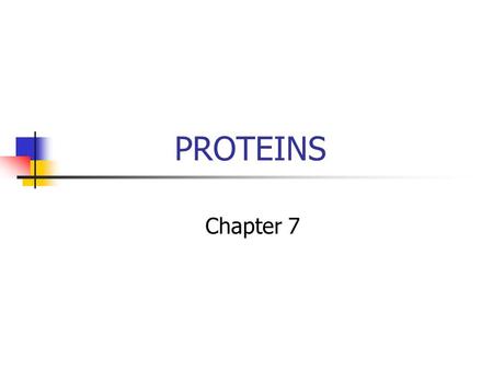 PROTEINS Chapter 7. Building Blocks of Proteins? Amine group Carboxylic Acid group R group R O NH2 C C OH H.