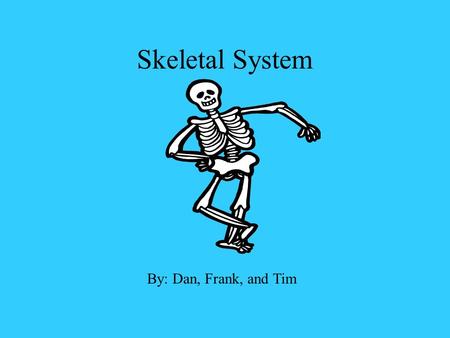 Skeletal System By: Dan, Frank, and Tim. Location The skeletal system is located inside all of our bodies. It runs from the top of your head to the bottoms.
