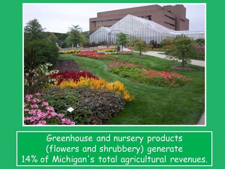 Greenhouse and nursery products (flowers and shrubbery) generate 14% of Michigan's total agricultural revenues.