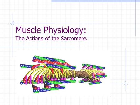 Muscle Physiology: The Actions of the Sarcomere.