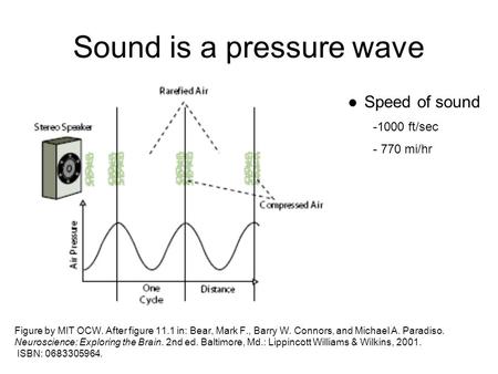 Sound is a pressure wave Figure by MIT OCW. After figure 11.1 in: Bear, Mark F., Barry W. Connors, and Michael A. Paradiso. Neuroscience: Exploring the.