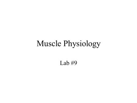 Muscle Physiology Lab #9.