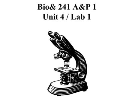 Bio& 241 A&P 1 Unit 4 / Lab 1.