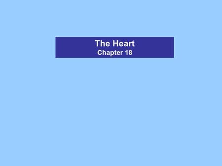 The Heart Chapter 18. Figure 18.1 The Heart Size – 250-350 grams Location – in mediastinum of thoracic cavity Function – generates pressure to pump blood.