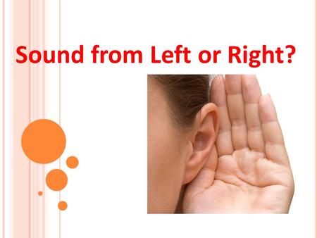 Sound from Left or Right?. Pre-Activity Quiz 1. How does our sense of hearing work? 2. Why do we have two ears? 3. How does a stethoscope work? (A device.