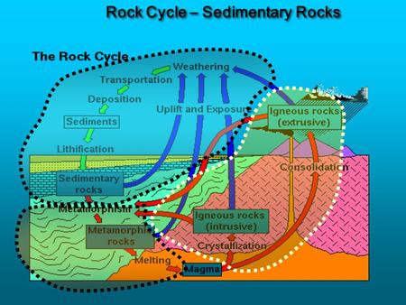 Rock Cycle – Sedimentary Rocks. What Rocks Tell Us Rock TypeHow ClassifiedWhat it Tells Us Igneous CompositionTectonic Setting TextureCooling History.