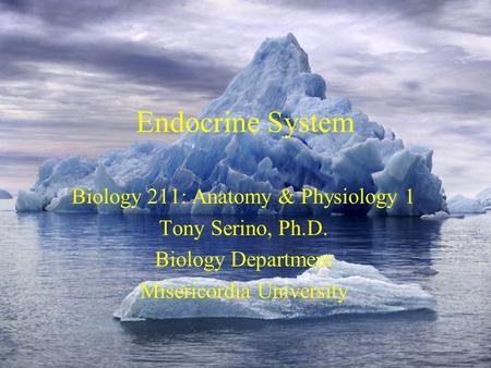 Endocrine System Biology 211: Anatomy & Physiology 1