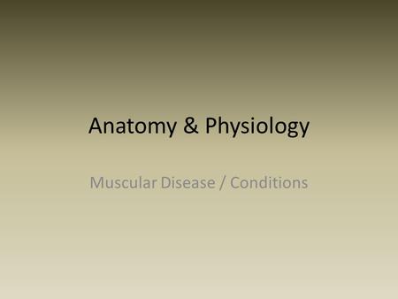 Muscular Disease / Conditions