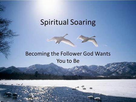 Spiritual Soaring Becoming the Follower God Wants You to Be.