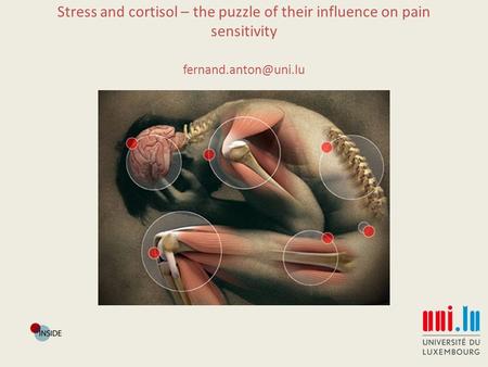 Stress and cortisol – the puzzle of their influence on pain sensitivity