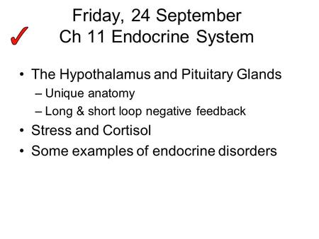 Friday, 24 September Ch 11 Endocrine System The Hypothalamus and Pituitary Glands –Unique anatomy –Long & short loop negative feedback Stress and Cortisol.