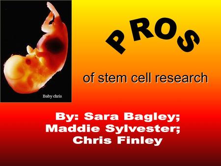 Of stem cell research Baby chris. WHAT ARE STEM CELLS? nonspecialized cells which have the potential to create other types of specific cells.