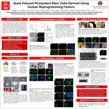 Quail Induced Pluripotent Stem Cells Derived Using Human Reprogramming Factors Yangqing Lu 1,2,4, Franklin D. West 1,2, Brian J. Jordan 3, Jennifer L.