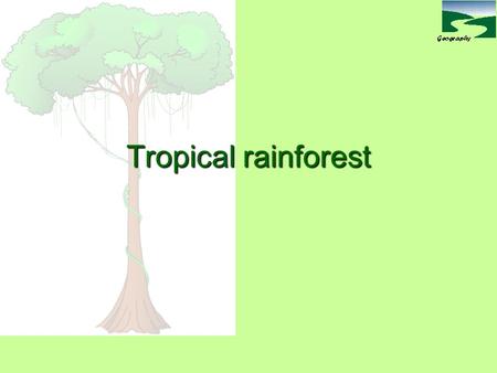 Tropical rainforest. Tropical Rain Forest Rain Forest Family Forever United Streaming 13:28  rch?Ntt=rainforest+family+forever.