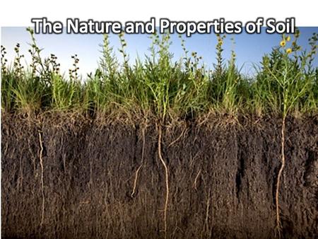 The Nature and Properties of Soil