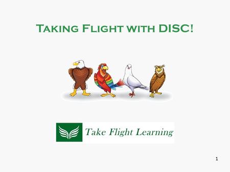Taking Flight with DISC!