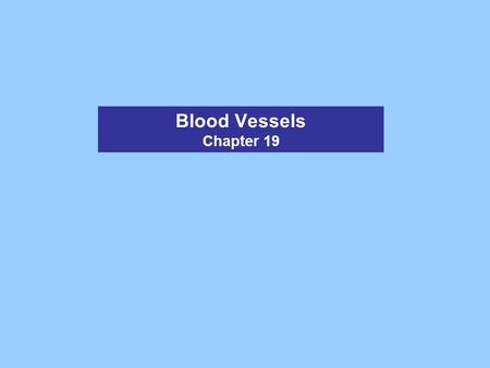 Blood Vessels Chapter 19.