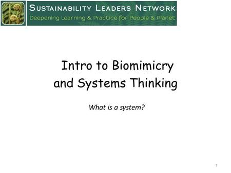 And Systems Thinking What is a system? 1 Intro to Biomimicry.