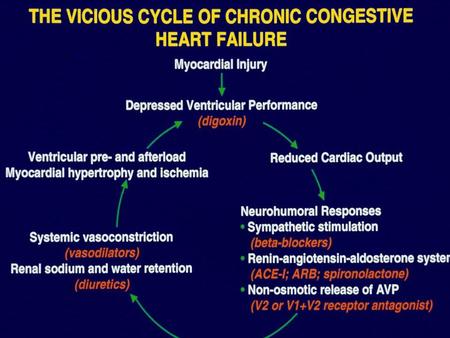 The Vicious Cycle of Chronic Congestive Heart Failure.