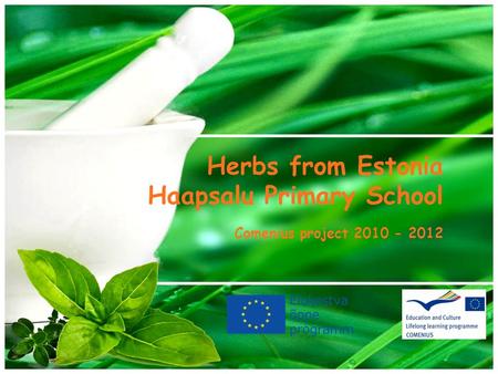 Herbs from Estonia Haapsalu Primary School Comenius project 2010 - 2012.
