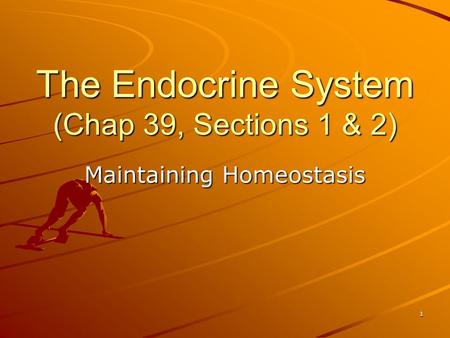 The Endocrine System (Chap 39, Sections 1 & 2) Maintaining Homeostasis 1.