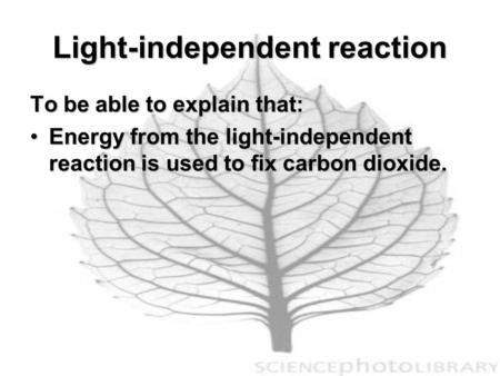 Light-independent reaction