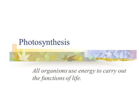 All organisms use energy to carry out the functions of life.