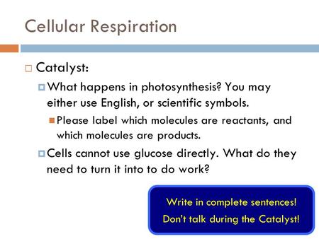 Cellular Respiration Catalyst: