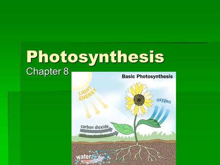 Photosynthesis Chapter 8. Photosynthesis  Reaction  6CO 2 + 6H 2 0 + light = C 6 H 12 O 6 + 6O 2  Photosynthesis uses energy from the sun to convert.