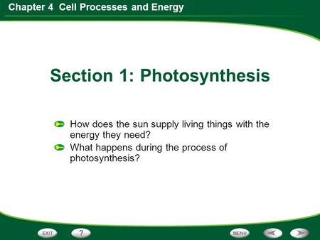 Chapter 4 Cell Processes and Energy How does the sun supply living things with the energy they need? What happens during the process of photosynthesis?