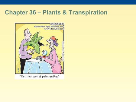 Chapter 36 – Plants & Transpiration. The success of plants depends on their ability to gather and conserve resources from their environment The transport.