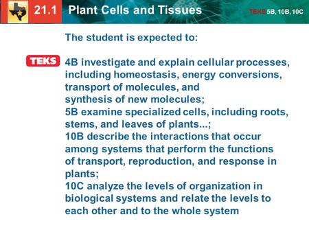 21.1 Plant Cells and Tissues TEKS 5B, 10B, 10C The student is expected to: 4B investigate and explain cellular processes, including homeostasis, energy.