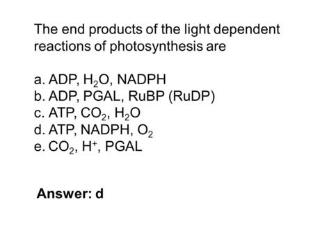 The end products of the light dependent reactions of photosynthesis are a. ADP, H 2 O, NADPH b. ADP, PGAL, RuBP (RuDP) c. ATP, CO 2, H 2 O d. ATP, NADPH,