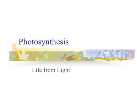 Photosynthesis Life from Light. Photosynthesis Overview Photosynthesis is the pathway by which energy from the sun is captured, stored and used to convert.