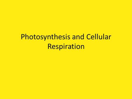 Photosynthesis and Cellular Respiration. Photosynthesis Definition: process in which plant cells convert the energy from sunlight into chemical energy.