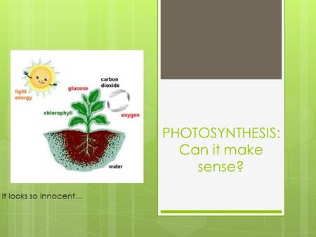 PHOTOSYNTHESIS: Can it make sense? It looks so innocent…