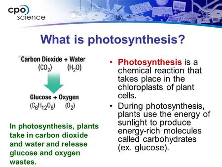 What is photosynthesis? Photosynthesis is a chemical reaction that takes place in the chloroplasts of plant cells. During photosynthesis, plants use the.