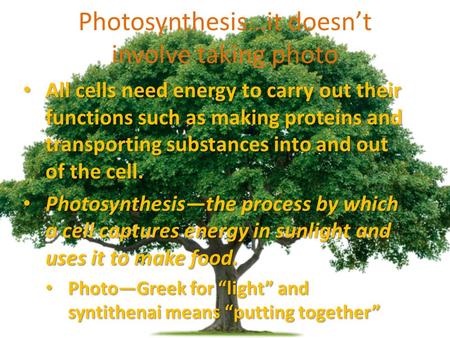 Photosynthesis…it doesn’t involve taking photo All cells need energy to carry out their functions such as making proteins and transporting substances into.
