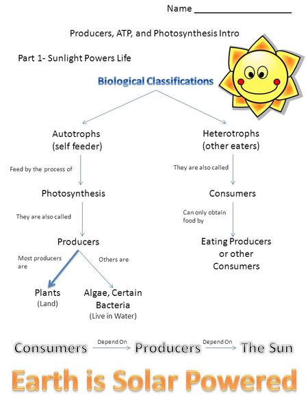Name ___________________ Producers, ATP, and Photosynthesis Intro Part 1- Sunlight Powers Life Autotrophs (self feeder) Heterotrophs (other eaters) Feed.