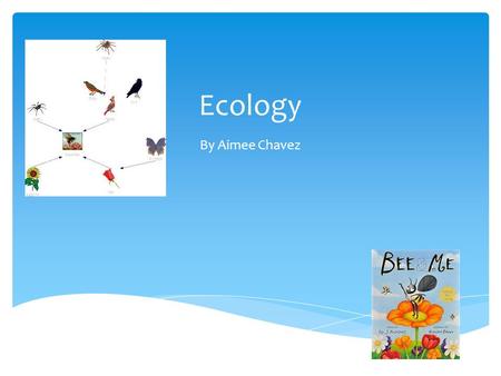 Ecology By Aimee Chavez.  Study of the interactions among organisms and the environment. Ecology.