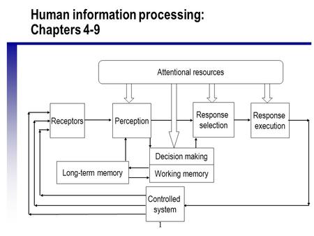 1 Human information processing: Chapters 4-9 ReceptorsPerception Long-term memory Response selection Response execution Controlled system Working memory.