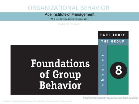ORGANIZATIONAL BEHAVIOR Ace Institute of Management M-B-A-e Term IV, Spring Trimester 2011 Module 3: The Group Module 3: Organizational Behaviour & Leadership.