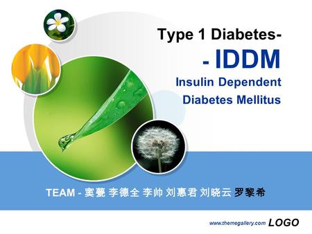 LOGO www.themegallery.com Type 1 Diabetes- - IDDM Insulin Dependent Diabetes Mellitus TEAM - 窦甍 李德全 李帅 刘惠君 刘晓云 罗黎希.