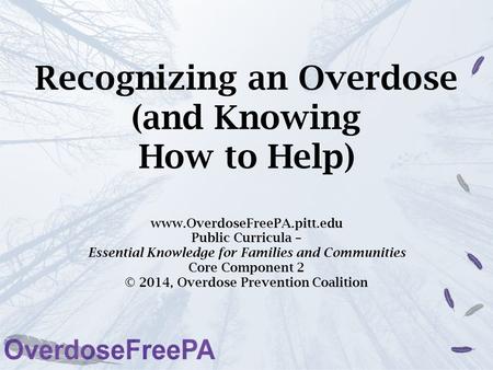 Recognizing an Overdose (and Knowing How to Help) www.OverdoseFreePA.pitt.edu Public Curricula – Essential Knowledge for Families and Communities Core.