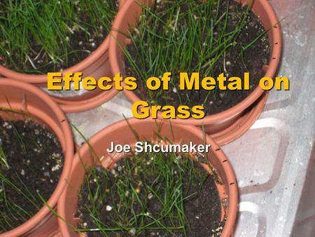 Effects of Metal on Grass Joe Shcumaker Joe Shcumaker.