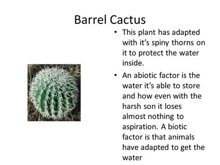 Barrel Cactus This plant has adapted with it’s spiny thorns on it to protect the water inside. An abiotic factor is the water it’s able to store and how.
